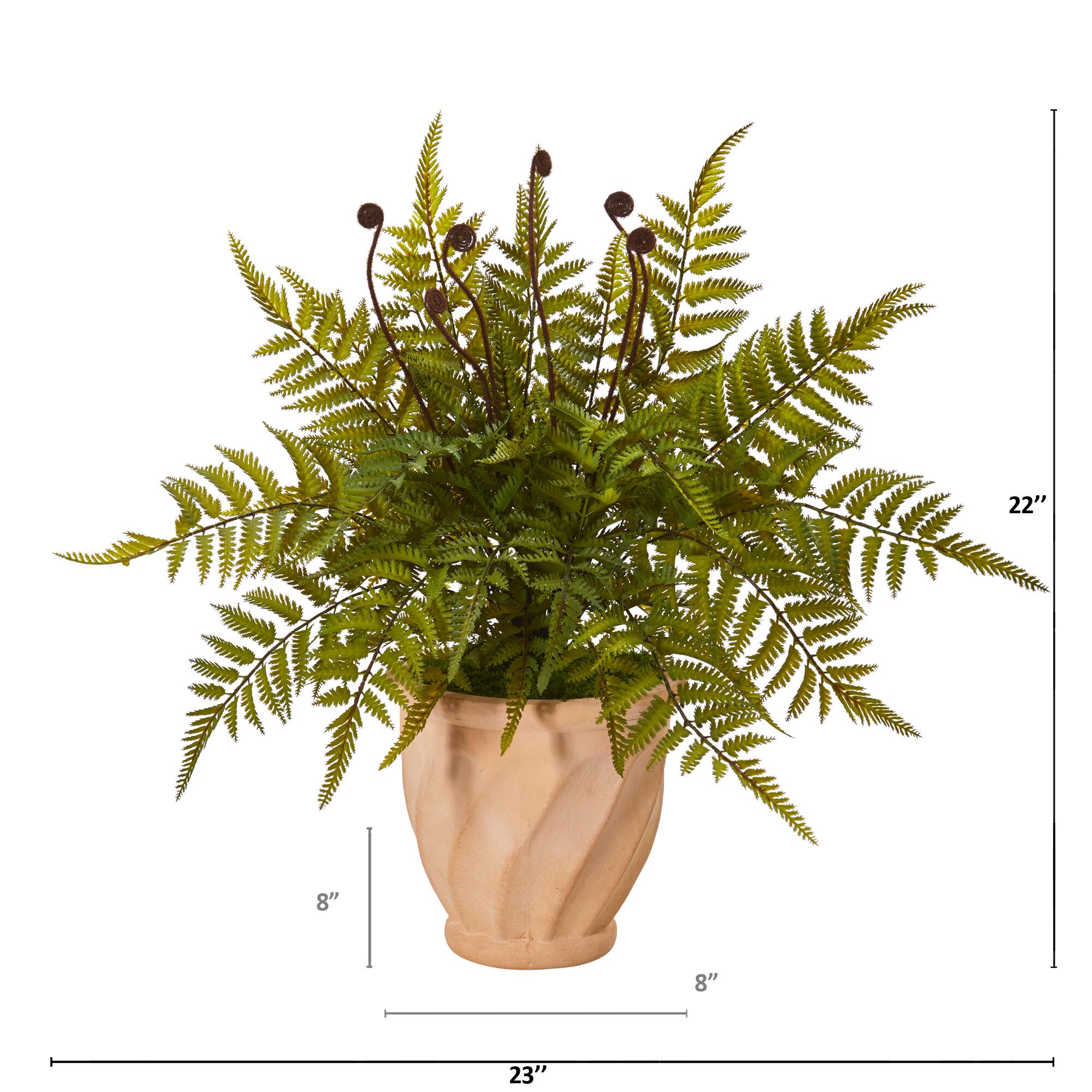 22" Fern in Orange Planter